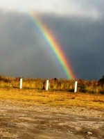 /album/foto-del-dia/img-0081-peq-jpg/